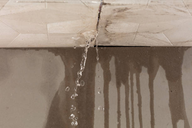 Professional Sewage Cleanup technician working in Hustisford, WI